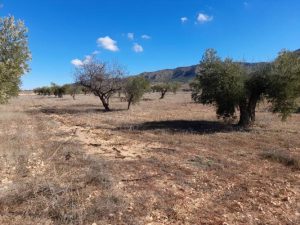 Imagen de inmueble disponible de la inmobiliaria DS Inmobiliaria