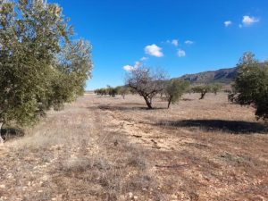 Imagen de inmueble disponible de la inmobiliaria DS Inmobiliaria