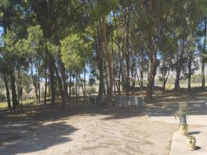 Imagen de inmueble disponible de la inmobiliaria DS Inmobiliaria