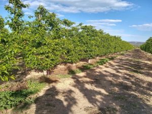 Imagen de inmueble disponible de la inmobiliaria DS Inmobiliaria