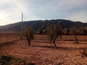 Imagen de inmueble disponible de la inmobiliaria DS Inmobiliaria