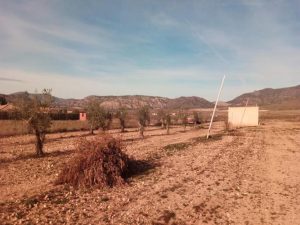 Imagen de inmueble disponible de la inmobiliaria DS Inmobiliaria