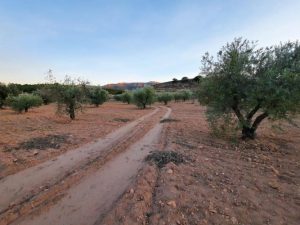 Imagen de inmueble disponible de la inmobiliaria DS Inmobiliaria