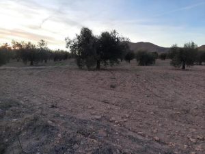 Imagen de inmueble disponible de la inmobiliaria DS Inmobiliaria