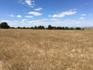 Imagen de inmueble disponible de la inmobiliaria DS Inmobiliaria