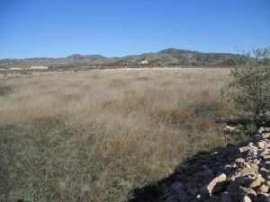 Imagen de inmueble disponible de la inmobiliaria DS Inmobiliaria