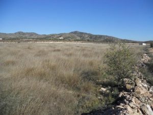 Imagen de inmueble disponible de la inmobiliaria DS Inmobiliaria