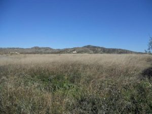 Imagen de inmueble disponible de la inmobiliaria DS Inmobiliaria