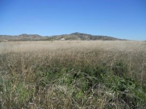 Imagen de inmueble disponible de la inmobiliaria DS Inmobiliaria