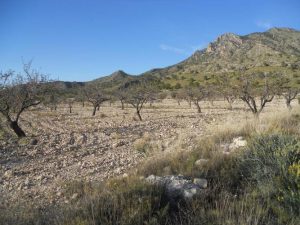 Imagen de inmueble disponible de la inmobiliaria DS Inmobiliaria