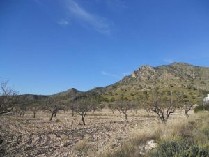 Imagen de inmueble disponible de la inmobiliaria DS Inmobiliaria