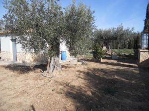 Imagen de inmueble disponible de la inmobiliaria DS Inmobiliaria