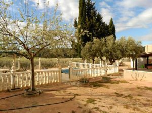 Imagen de inmueble disponible de la inmobiliaria DS Inmobiliaria